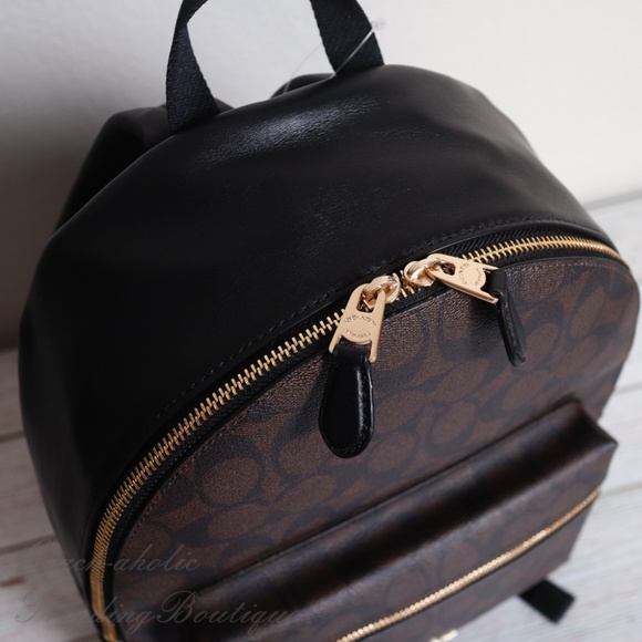 Coach Bags Nwt Coach Medium Charlie Backpack In Signature Poshmark